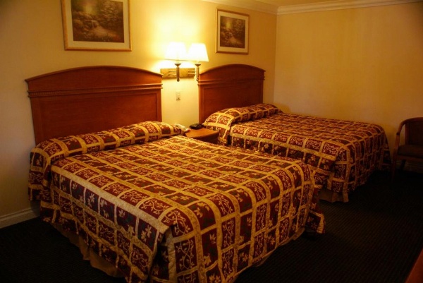 Colony Inn image 20
